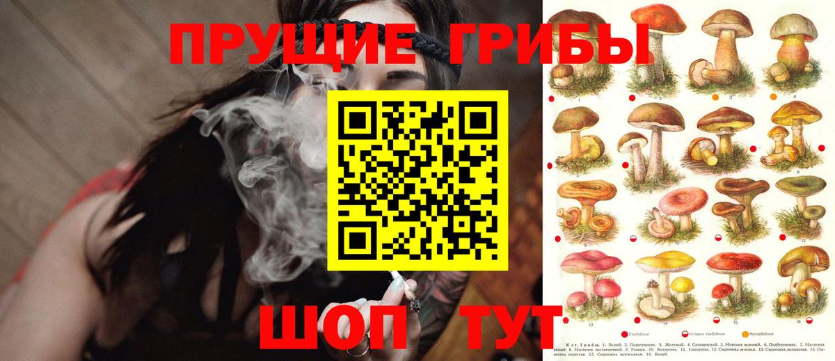 Галлюциногенные грибы Cubensis Тамбов